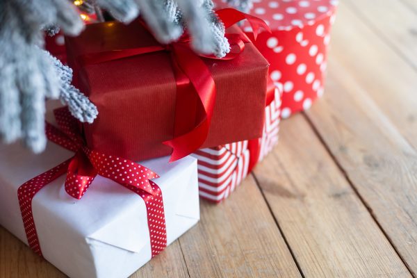Holiday Gift Guide